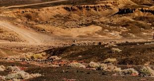 [图]爱德华兹25+5骑士5人得分20+主场复仇森林狼